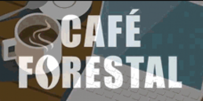 cafe forestal